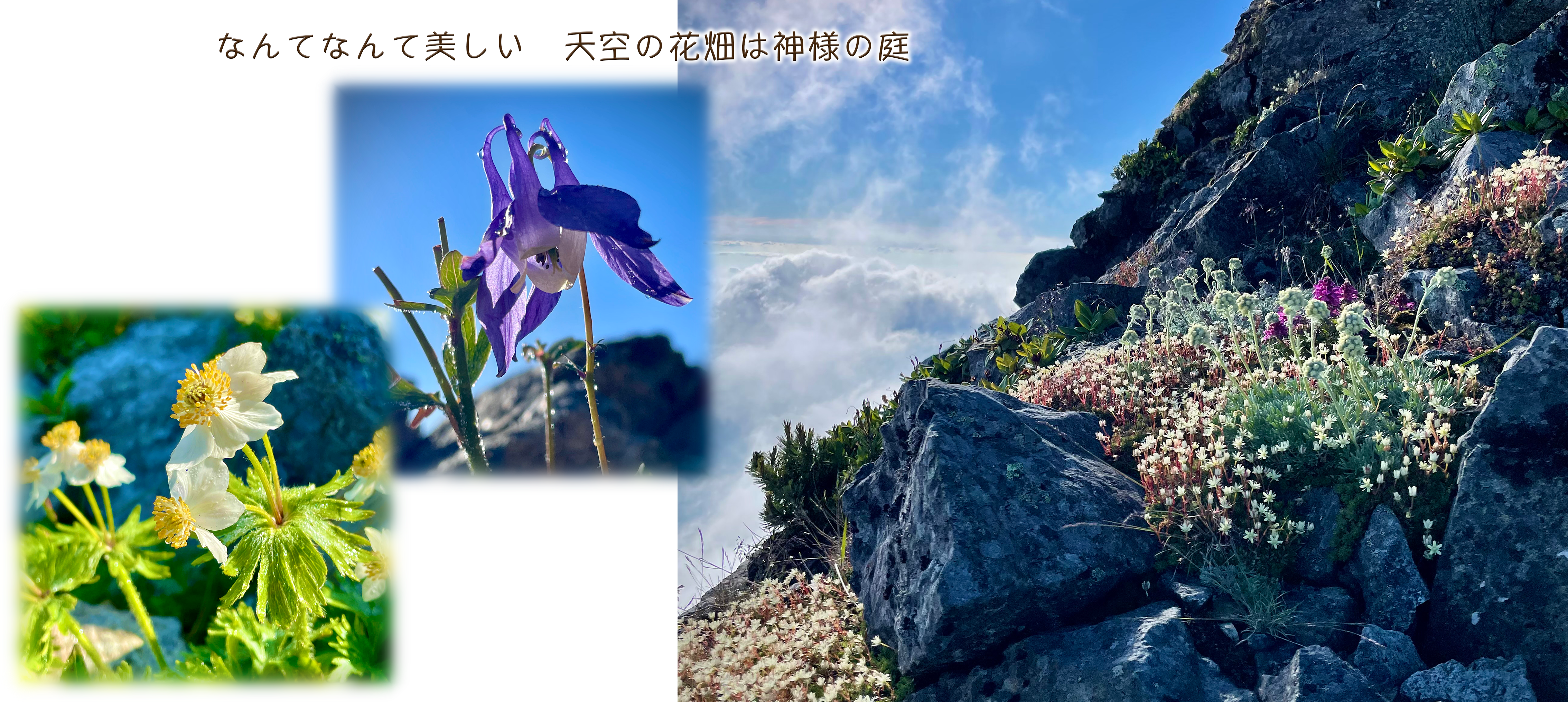 白根三山縦走 って熱中症じゃん Matatabi