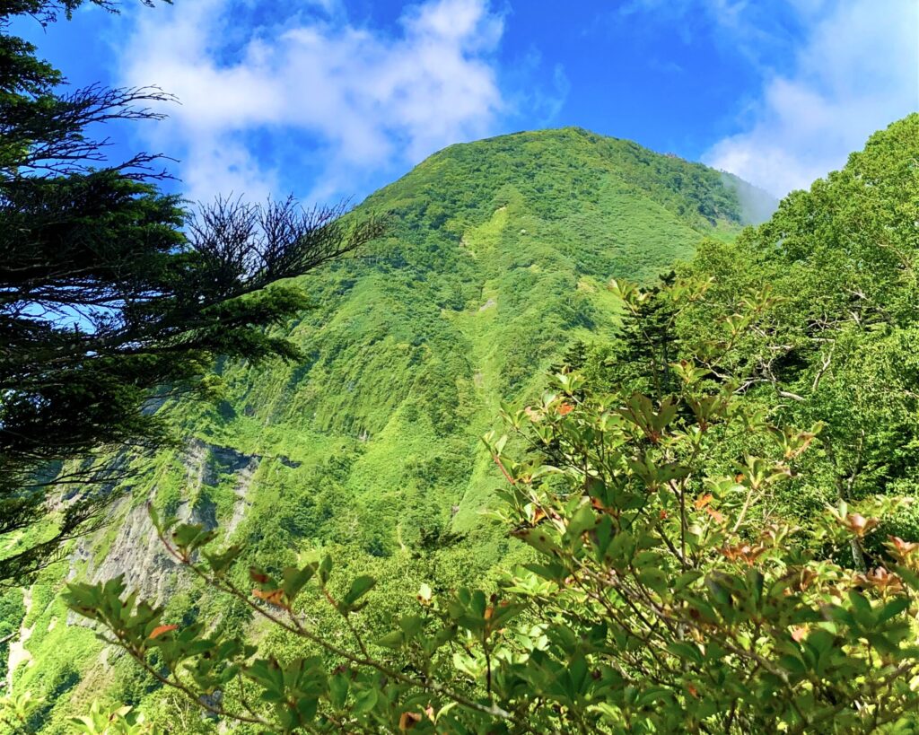 登山道からの高妻山